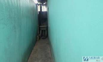 Imagem 2: ASSOBRADADA - VILA MEDEIROS