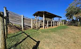 Imagem 6: Linda Fazenda em Bandeirantes Ms!