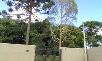 Imagem 7: Linda casa em Tijucas do Sul