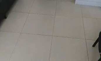 Imagem 7: Kitnet Residencial para locação, Vila Universitária, São Paulo - KN0369