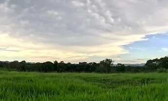 Imagem 3: FAZENDA 103 ALQ EM COLINAS DO SUL - GO