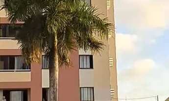 Imagem 6: Vendo apartamento 3/4 com suíte e vista livre