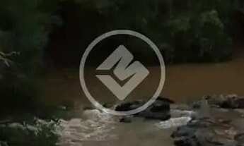 Imagem 6: REF: OFFICE2240 - Chácara com 3 Hectares em Cristinópolis, Goiás. codigo: 49239