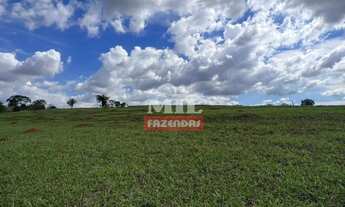 Imagem 3: Chácara 4 alqueires (19,72 hectares) Goianira -Go