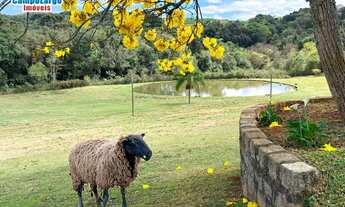 Imagem 5: Chácara à venda no bairro Jardim Florestal - Campo Largo/PR