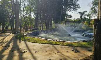 Imagem 7: Linda Chácara 7.500 m²