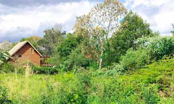 Imagem 2: Terreno à Venda em Gramado!