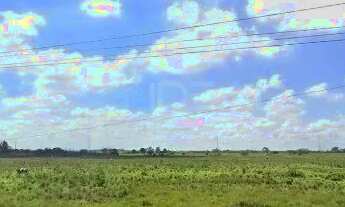 Imagem 4: Terreno Industrial Próximo ao Centro de Campos