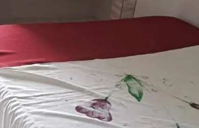 Imagem 7: Alugo casa 1 quarto em laranjeiras