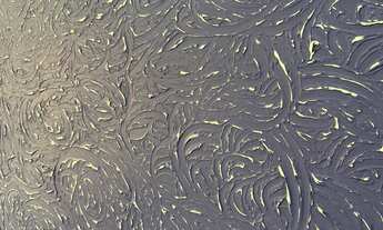 Imagem 2: APARTAMENTO TÉRREO IMPECÁVEL - PARA QUEM PROCURA QUALIDADE