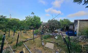 Imagem 3: Galpão terreno 1452m2 liga 9 8 7 4 8 3 1 0 8 Diego9989f oportunidade