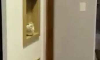 Imagem 3: Lindo apto 2 quartos Nova Palhoça