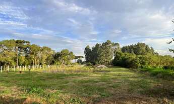 Imagem 6: Terreno 5.800m2 Região do Caminho do Vinho próximo a fábrica da Renault