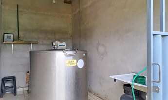 Imagem 6: Ótima fazenda de 302 hectares, dupla aptidão, terras de cultura margeada por ribeirão - Ri