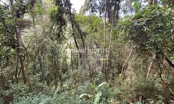 Imagem: Ampla Área de Terreno à Venda na Região