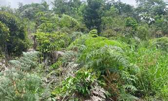 Imagem 5: Sítio à Venda no Vale Verde