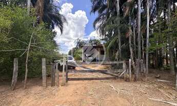 Imagem 5: Fazenda 3 Rosas codigo: 162076