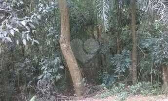 Imagem: Terreno à venda em Roseira - SP