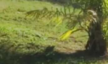 Imagem 4: Lotes para casa de campo no interior paulista