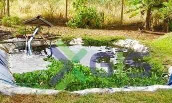 Imagem: Chácara com 3 dormitórios à venda, 4446