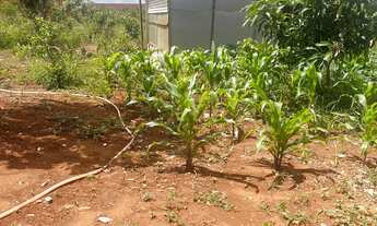 Imagem 6: Venda ou troca Chácara com venda por R$110.000