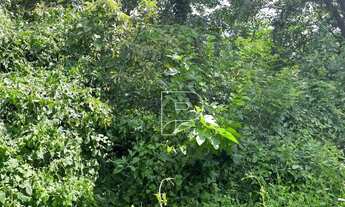 Imagem 4: Terreno à venda, 1799 m² por R$ 1.800.000,00 - Parque Alexandre - Cotia/SP