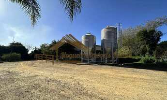 Imagem 2: Sitio com granjas, área com 5,5 alqueires na região de Tatui/SP