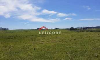 Imagem 5: Fazenda em Lageado Grande - Tainhas - São Francisco de Paula/RS