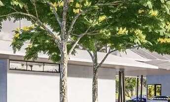 Imagem 7: Excelente lote no Jardins Londres