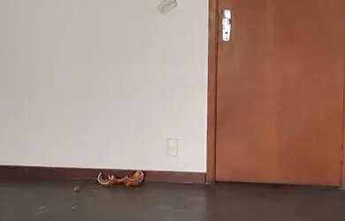 Imagem 6: Imóvel para aluguel e venda com 105 metros quadrados com 2 quartos