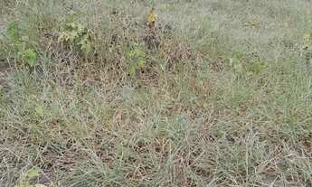 Imagem: Venda ou troca por carro