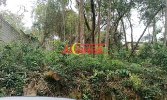 Imagem 2: MAIRIPORA TERRENO MIL METROS QUADRADOS