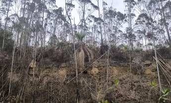 Imagem 4: Seu Terreno em Ibiúna Espera por Você Invista com Segurança