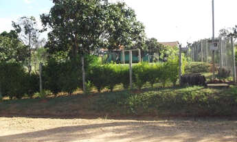 Imagem 6: Lindo sitio de 1.000m² em São Jose do Almeida(Temos varias opções