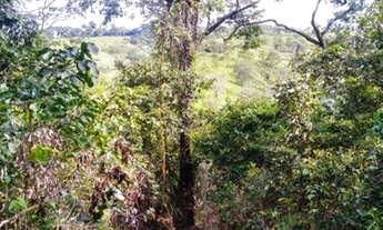 Imagem 5: Chácara de 57.000m² com nascente, rio de águas cristalinas /Jaboticatubas