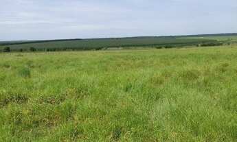 Imagem 2: Fazenda Fazenda / sítio com venda por R$15.000.000