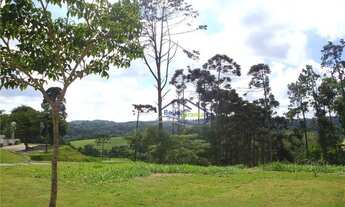 Imagem 3: Vintage (Granja Viana