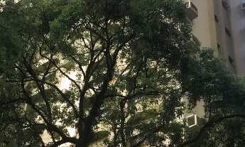 Imagem: Apartamento à venda com 3 dormitórios