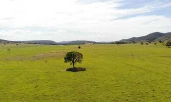 Imagem 4: Fazenda para Venda em Mara Rosa, Zona Rural