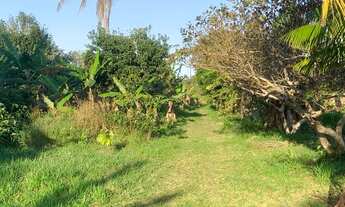 Imagem 5: Sítio 12 tarefas Gandaia - Guerem