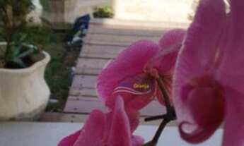 Imagem 5: GRANJA VIANA - SÃO PAULO II