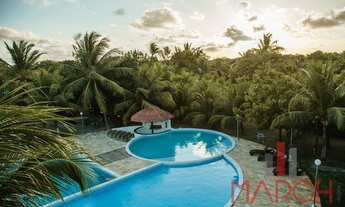 Imagem 7: Vendo lotes num dos melhores condomínios da região metropolitana de João Pessoa