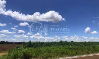 Imagem 2: Oportunidade 4 Hectares Prox. ao Centro