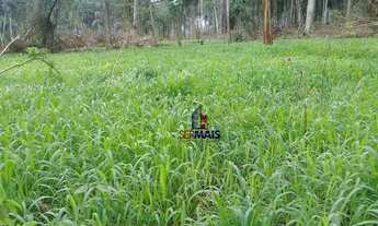 Imagem 2: Fazenda à venda, por R$ 6.000.000 - centro - Colniza/MT