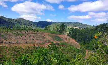 Imagem 2: Sítio em Domingos Martins com Pomar