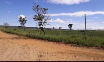 Imagem 4: Vende-se uma excelente fazenda de 350 Alqueires