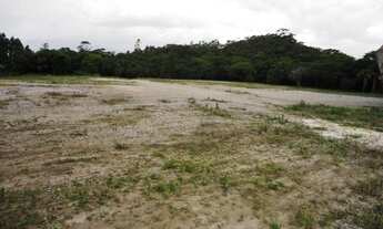 Imagem 6: LINDA ÁREA COM 42.000 METROS COM VIABILIDADES NA BEIRA DA BR-101 - PALHOÇA