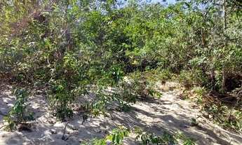 Imagem 2: Chácara Pesqueiro Sítio Fazenda terreno na BR 040 em na beira do Rio Abaeté MG