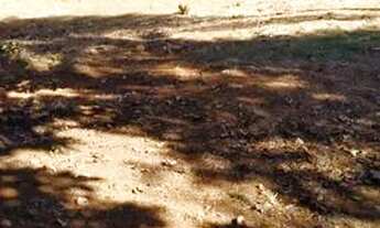 Imagem 4: Casa a Venda Casa com 2 dormitórios