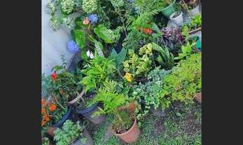 Imagem 5: Apartamento para Venda - 72.35m², 3 dormitórios, Jardim Sabará